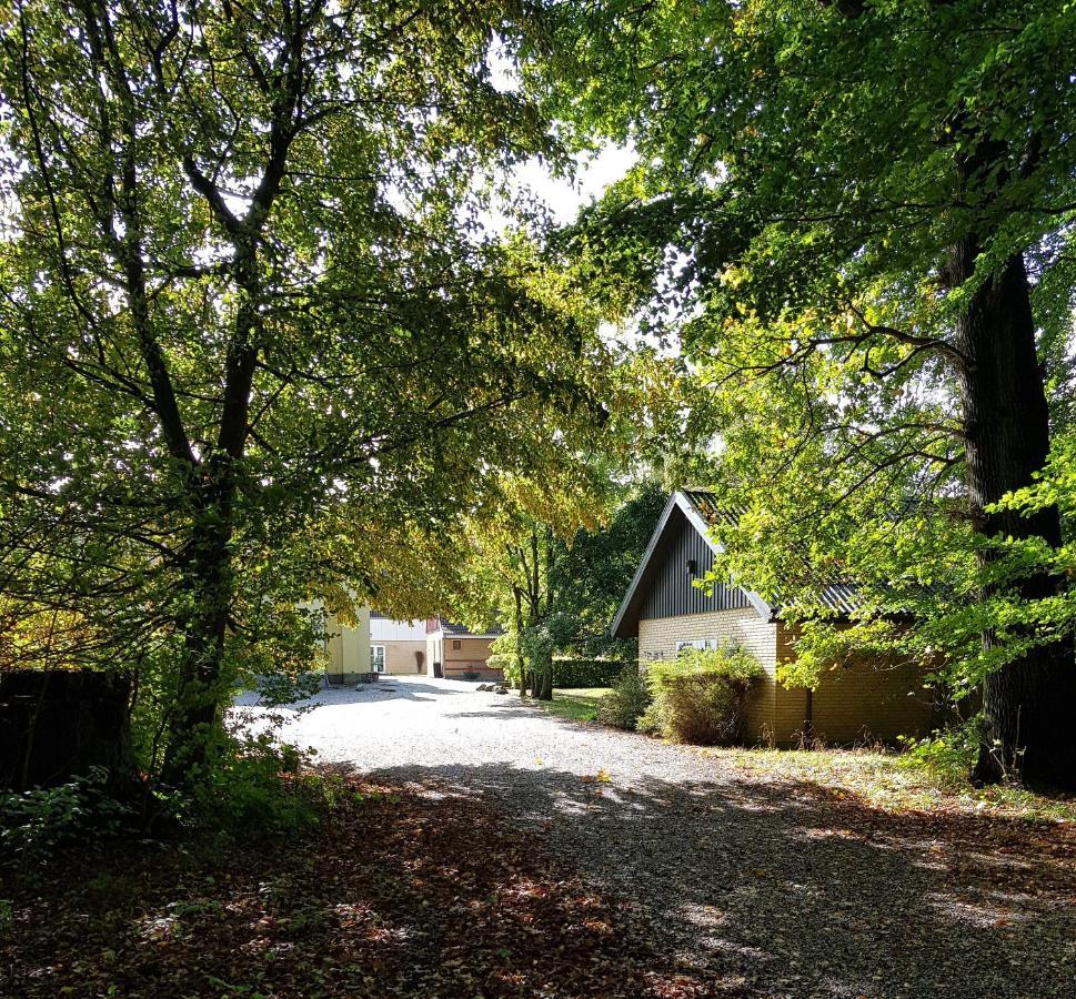 Pederstrup Bed And Breakfast Torrig Dış mekan fotoğraf