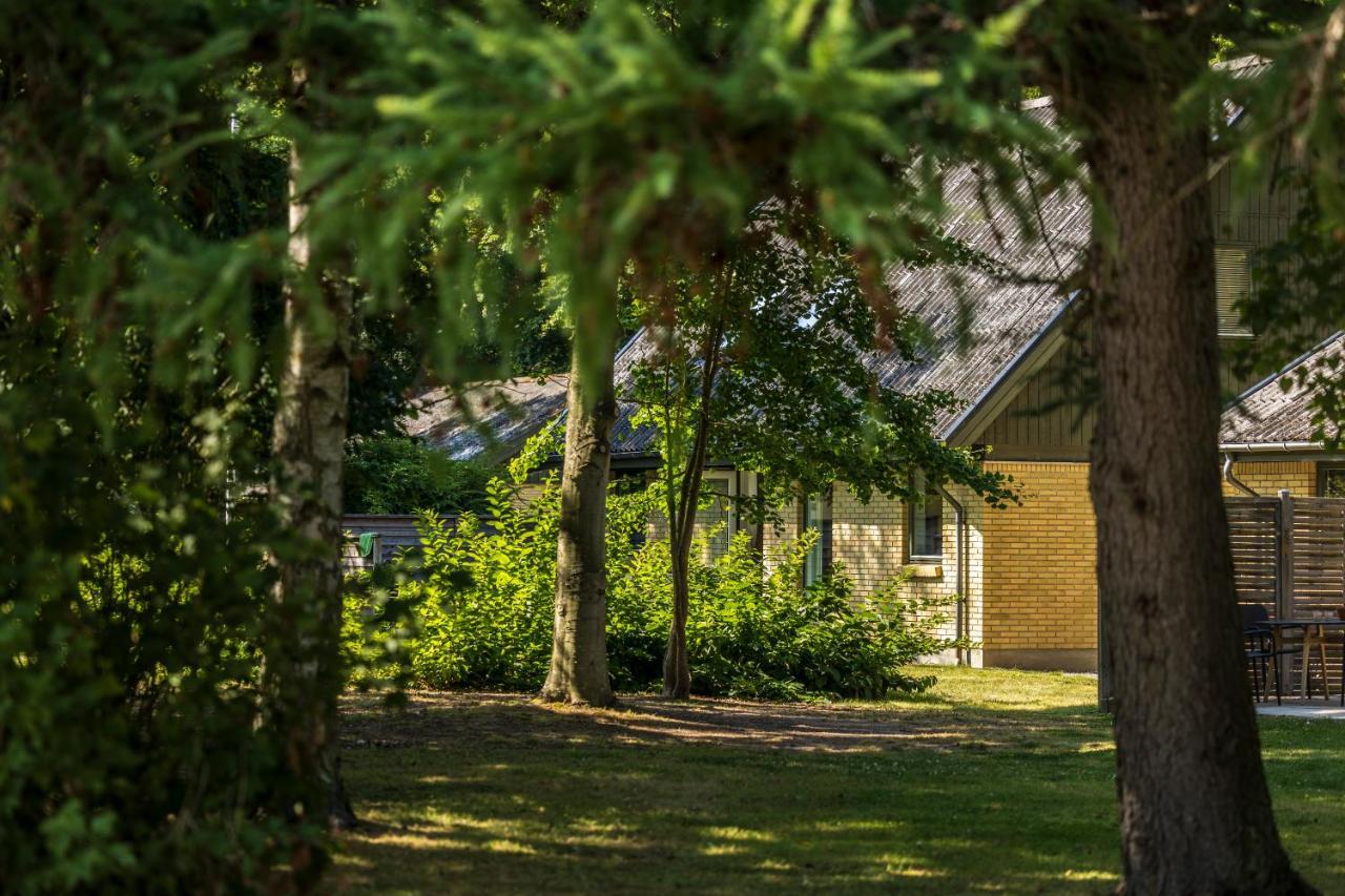 Pederstrup Bed And Breakfast Torrig Dış mekan fotoğraf