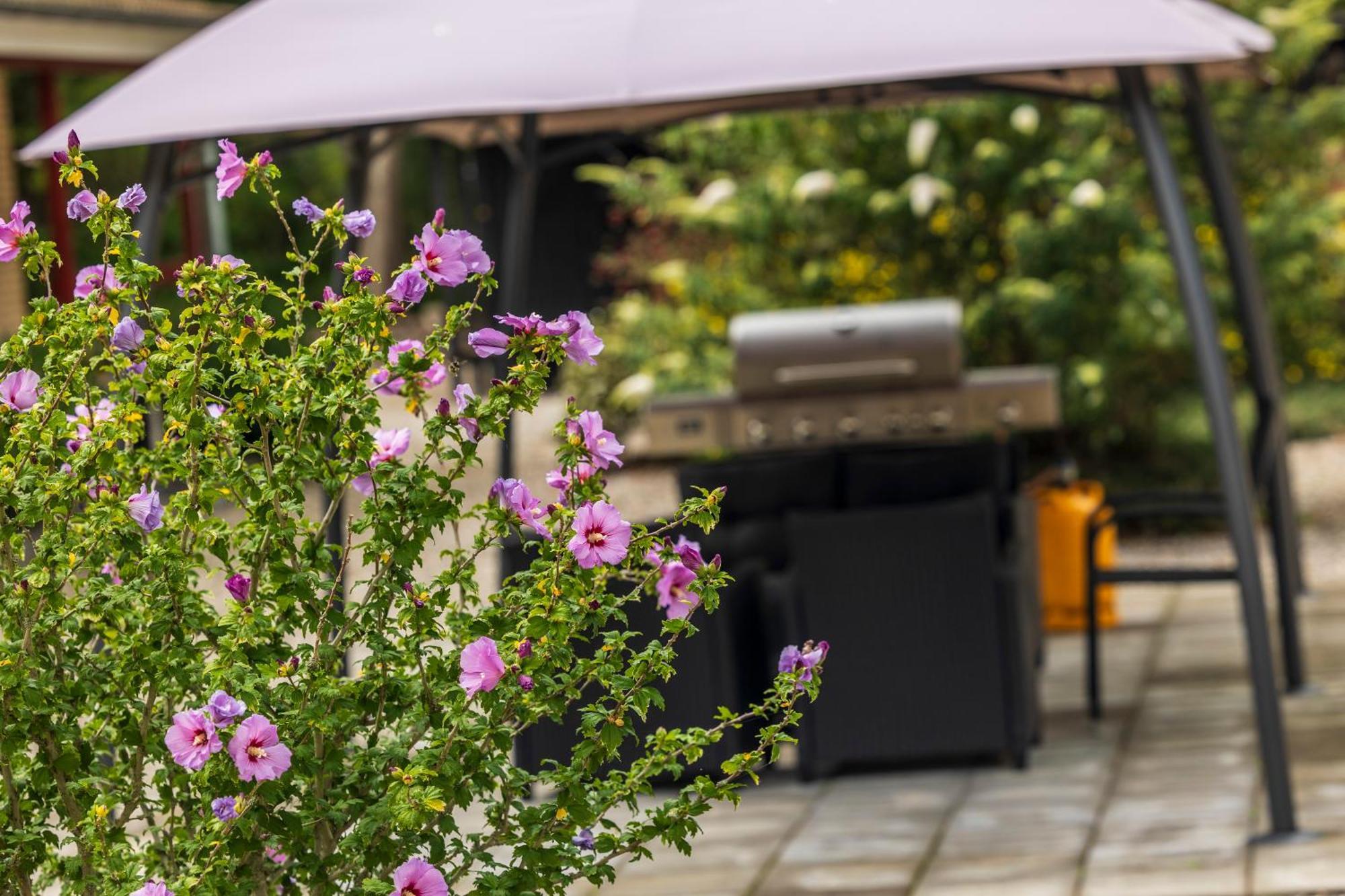 Pederstrup Bed And Breakfast Torrig Dış mekan fotoğraf